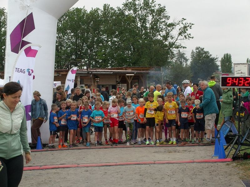 stadtwaldlauf_2024_785