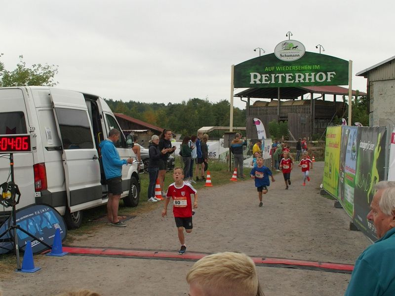 stadtwaldlauf_2024_800